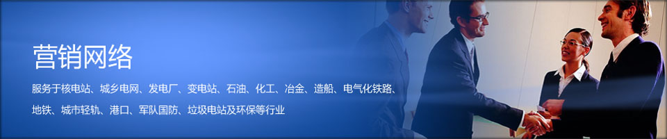 營(yíng)銷(xiāo)網(wǎng)絡(luò)